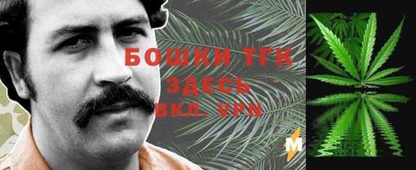 крисы Костерёво
