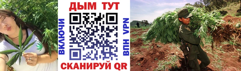 Конопля LSD WEED  кракен ТОР  Строитель 